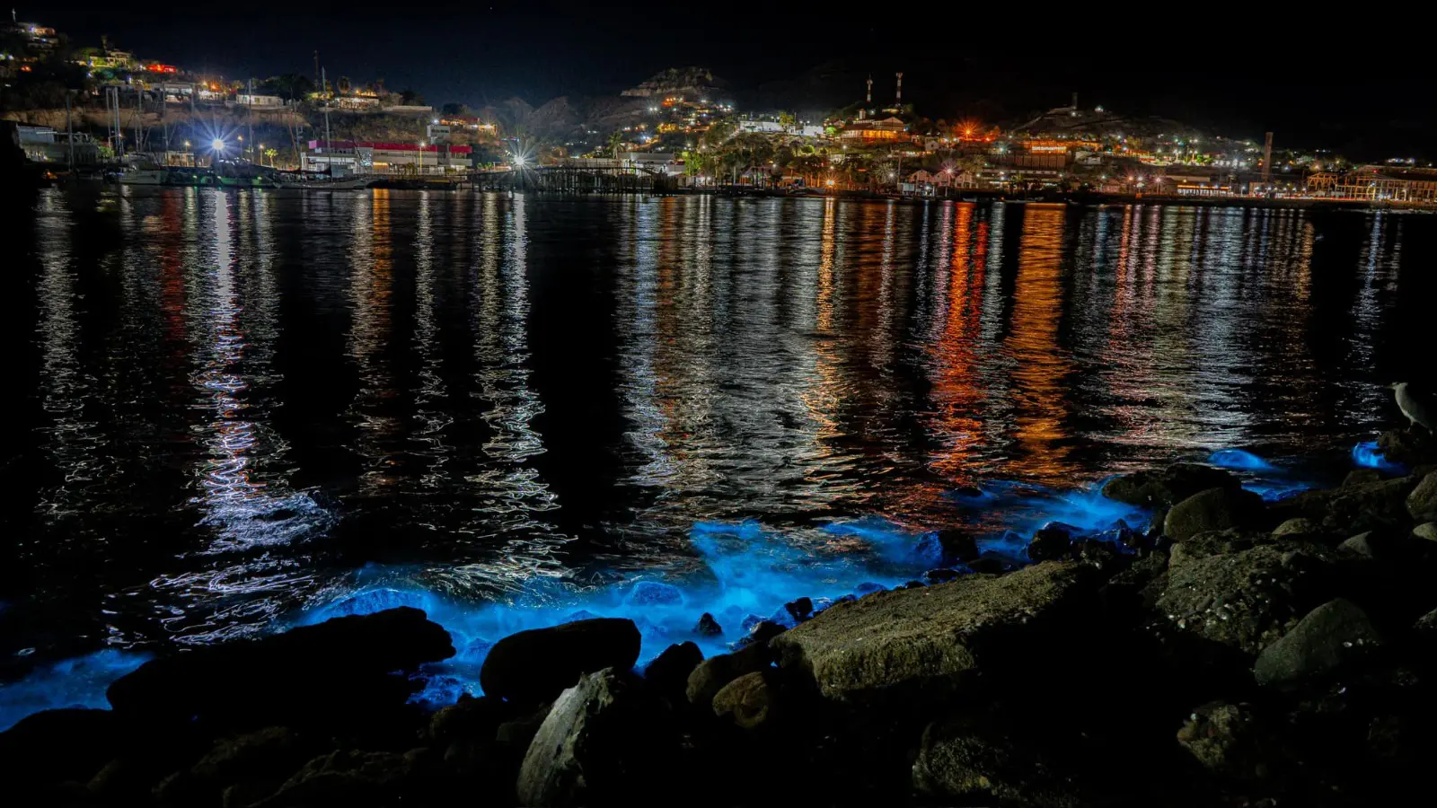 Bioluminiscencia en playa