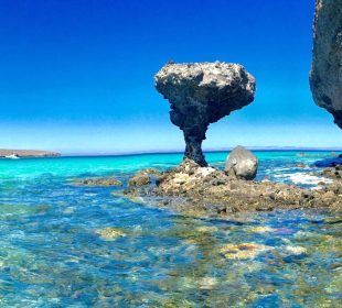 Playa balandra en BCS