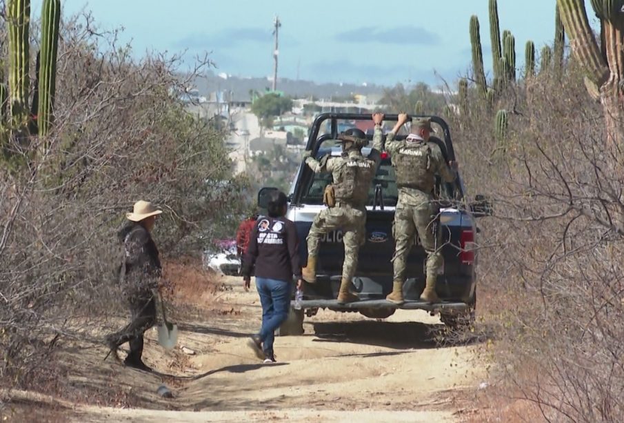 Agentes y grupo de buscadores en lote