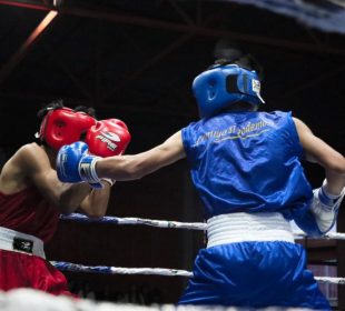 Boxeadores sudcalifornianos