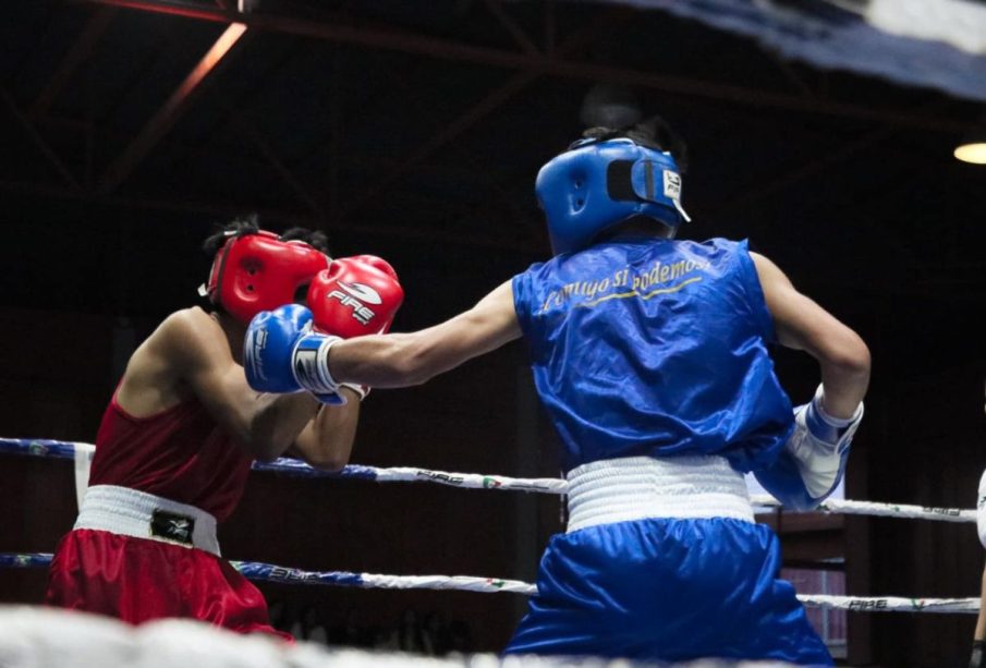 Boxeadores sudcalifornianos