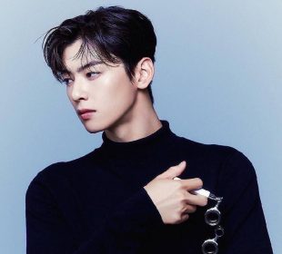 Cha Eunwoo concierto en México