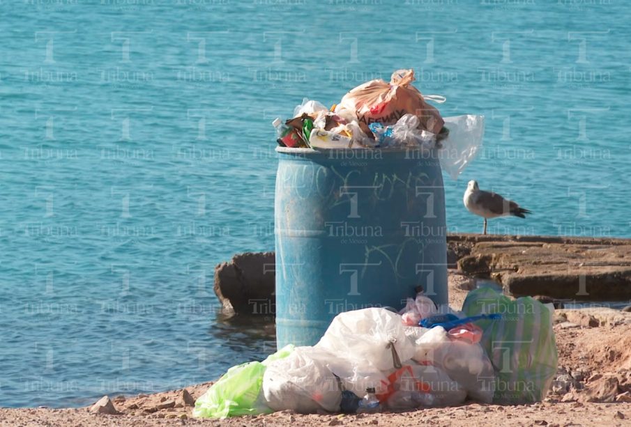 Contenedor de basura en la playa saturado