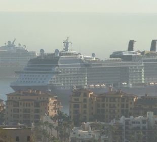 Cruceros en Cabo San Lucas