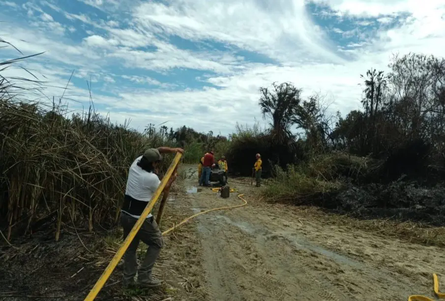 Dañadas 33 hectáreas tras incendio en Estero San José del Cabo