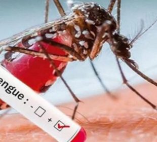 Dengue causa mil muertes en el Continente Americano
