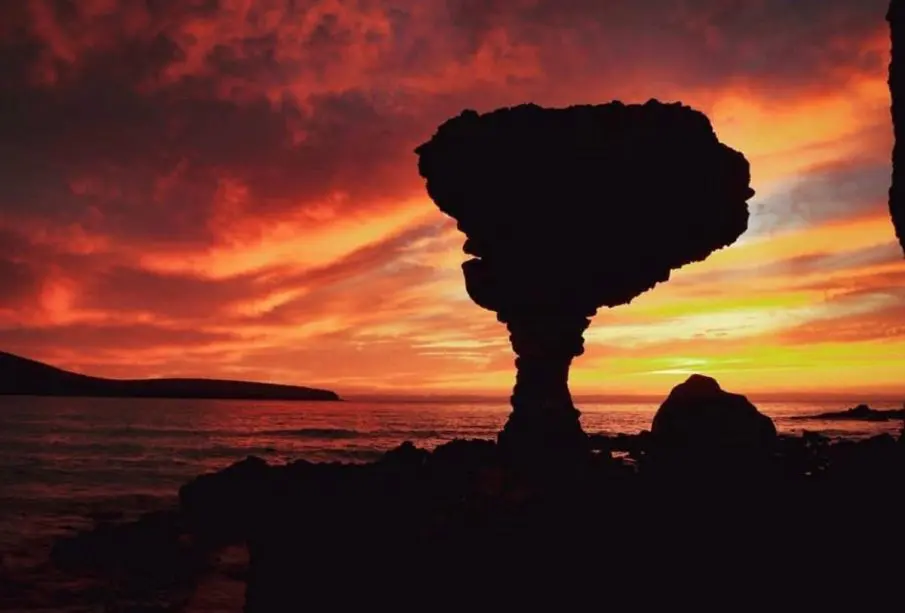 El Hongo de la playa Balandra