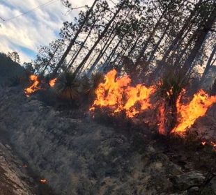 El Ejército combate el incendio forestal en sierra de Miquihuana, Tamaulipas; el fuego ha consumido 30 hectáreas.