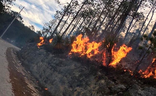 El Ejército combate el incendio forestal en sierra de Miquihuana, Tamaulipas; el fuego ha consumido 30 hectáreas.