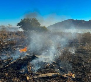 Incendio en La Ballena moviliza a cuerpos de emergencia