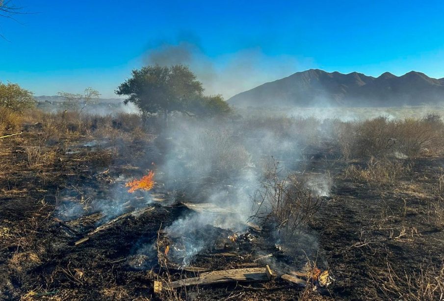 Incendio en La Ballena moviliza a cuerpos de emergencia