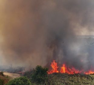 Incendio en estero afectando calidad del aire