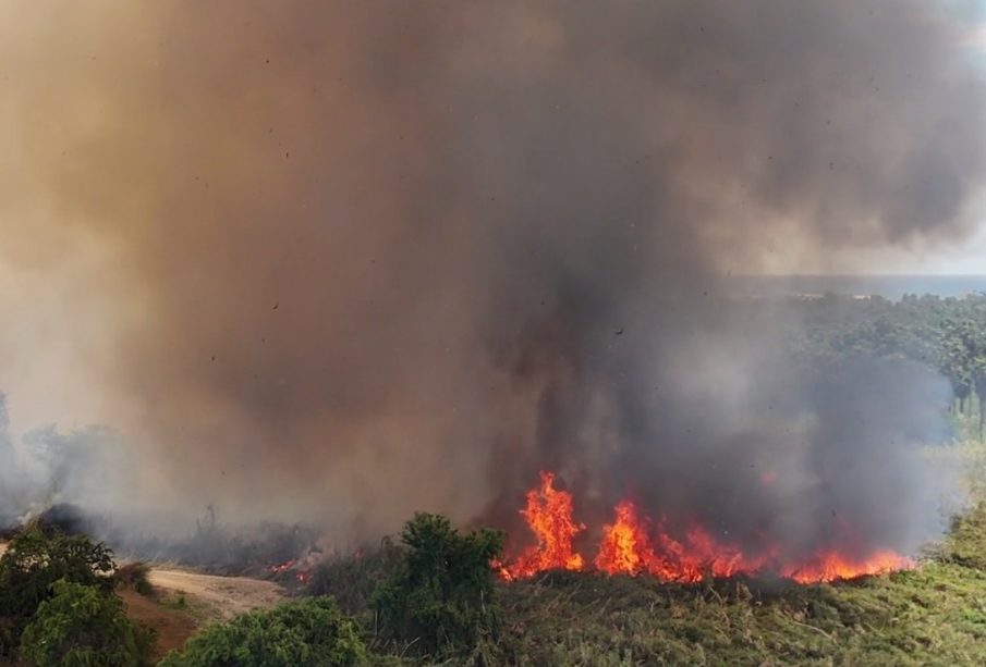 Incendio en estero afectando calidad del aire