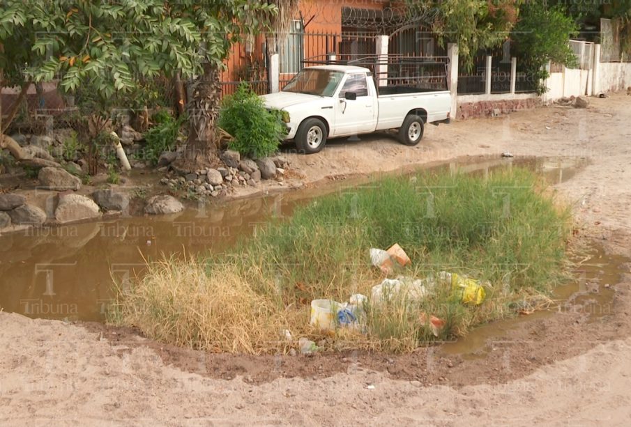 Laguna de aguas negras