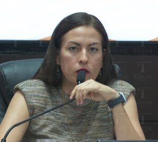 Milena Quiroga solicita licencia para reelección alcaldía de La Paz