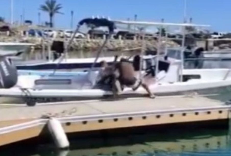 Pescadores peleándose en mulle de La Playa