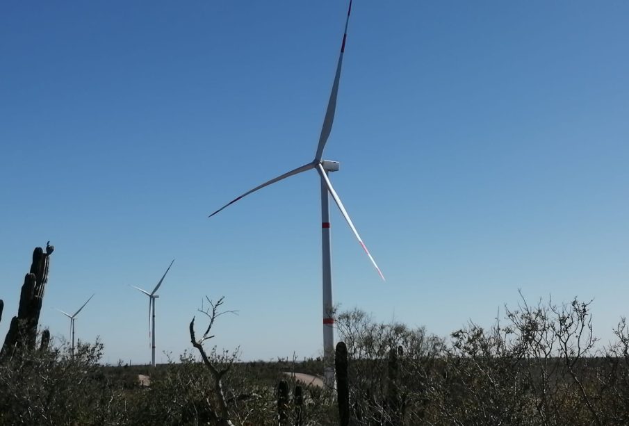 Planta de Eólica Coromuel