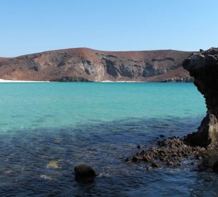 Playa Balandra con hongo característico