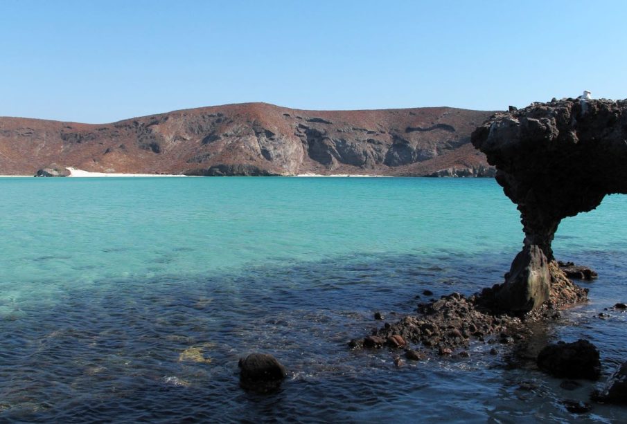 Playa Balandra con hongo característico