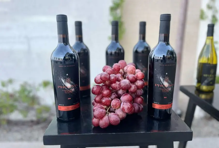 Vinos de Hotel Garza Blanca
