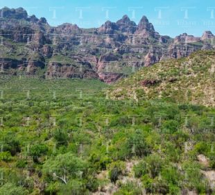 Miles de personas exigen cancelación de Los Cardones; en riesgo la Sierra de la Laguna