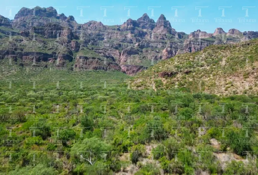 Miles de personas exigen cancelación de Los Cardones; en riesgo la Sierra de la Laguna