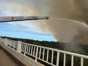 Alerta ambiental en el Estero San José del Cabo: Nuevo incendio consume 33 hectáreas