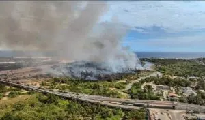 Alerta ambiental en el Estero San José del Cabo: Nuevo incendio consume 33 hectáreas