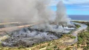 Alerta ambiental en el Estero San José del Cabo: Nuevo incendio consume 33 hectáreas