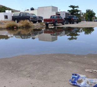 Agua estancada en La Paz causa melioidosis