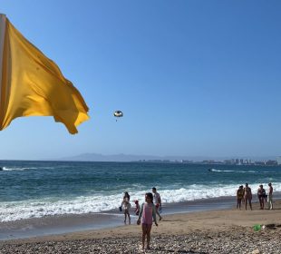 Bandera amarilla