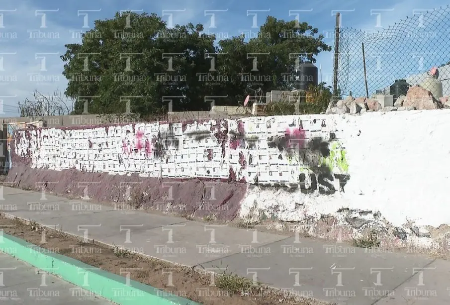 Bardas pintadas