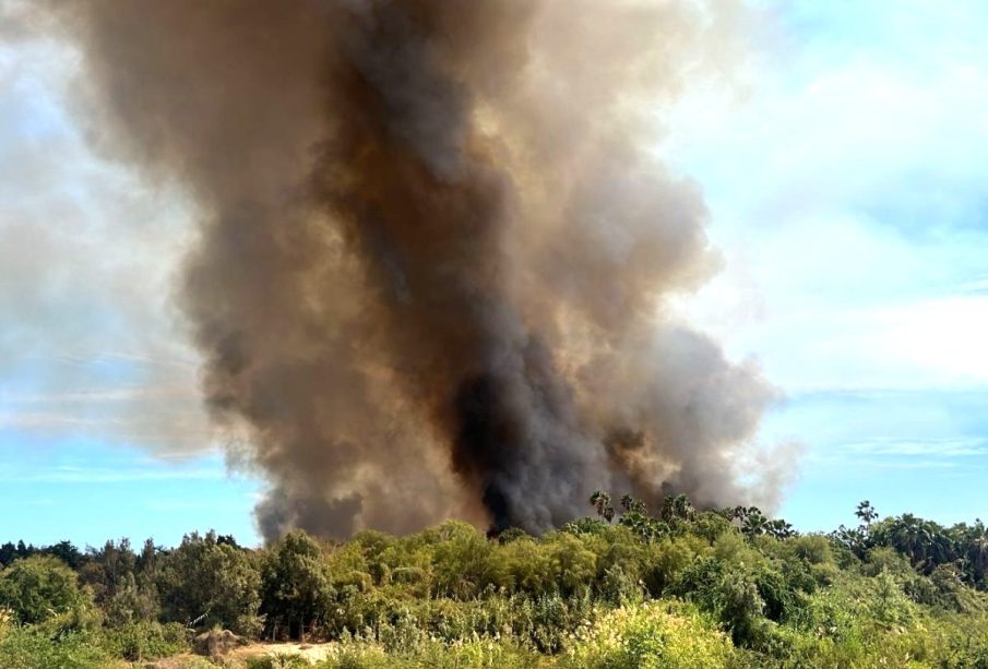 Humo tras incendio en estero