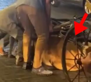 (VIDEO) Caballo se desploma por jalar carroza con turistas; denuncian maltrato animal