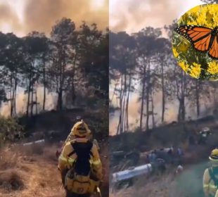 (VIDEO) Incendio consume zona protegida 'País de la Monarca' en Michoacán