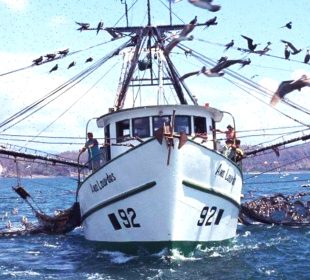 Barco pirata en aguas de BCS