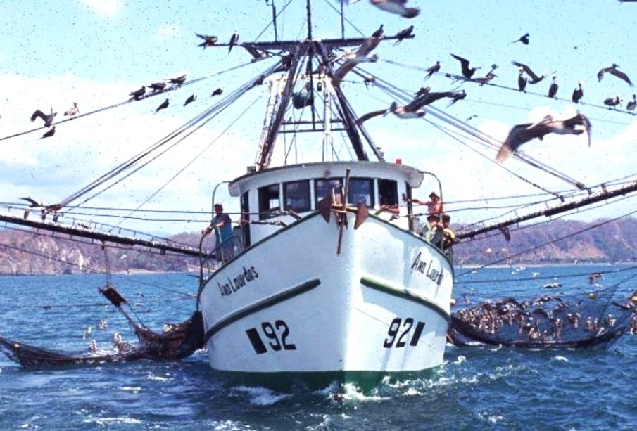 Barco pirata en aguas de BCS