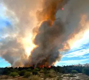 Incendio en Estero El Salado