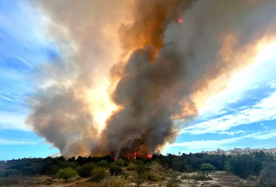 Incendio en Estero El Salado