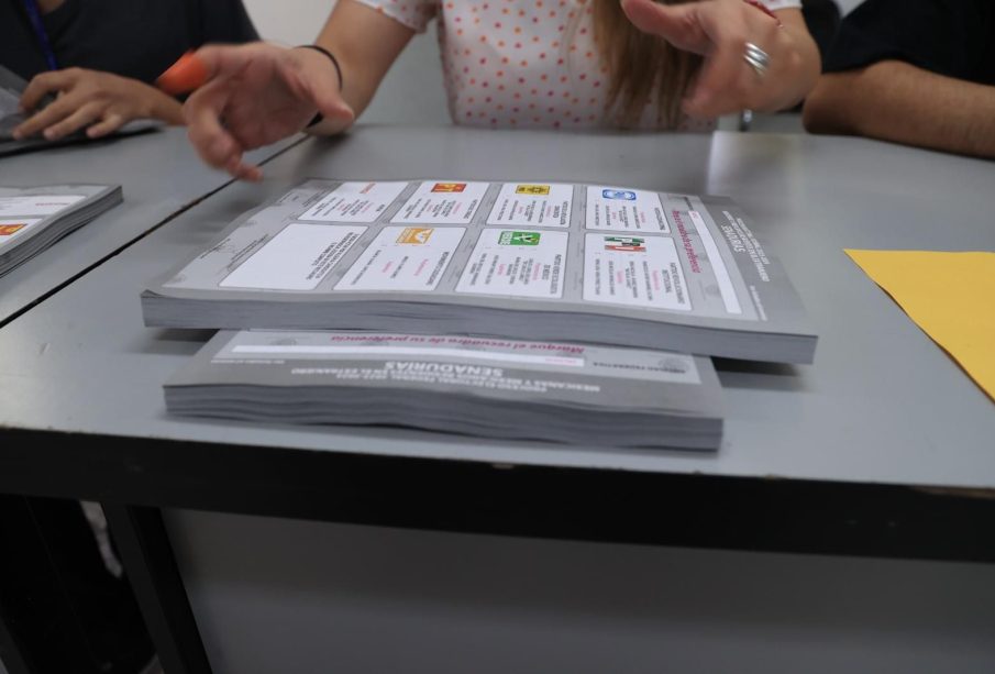 Boletas electorales