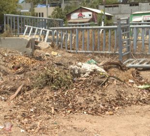 Canal en El Aguajito en San José del Cabo sin protección y basura