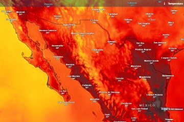 Clima Tijuana domingo 28