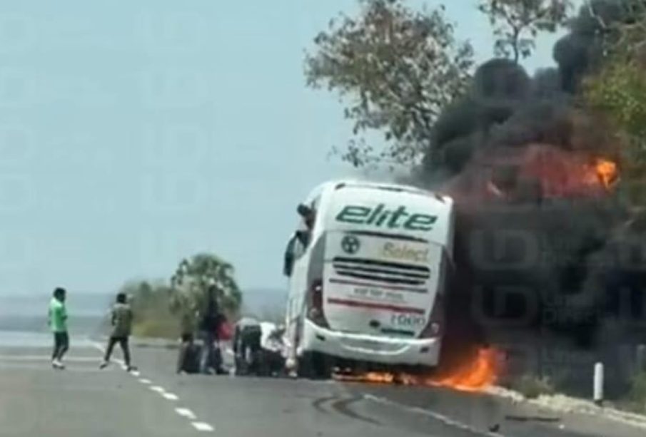 Cuatro personas calcinadas al incendiarse autobús en Sinaloa