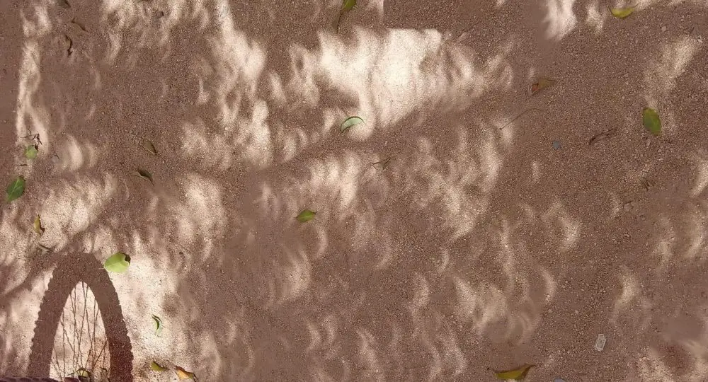 Eclipse Solar 2024: así se vio en Los Cabos (FOTOS)