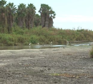 Estero de San José del Cabo