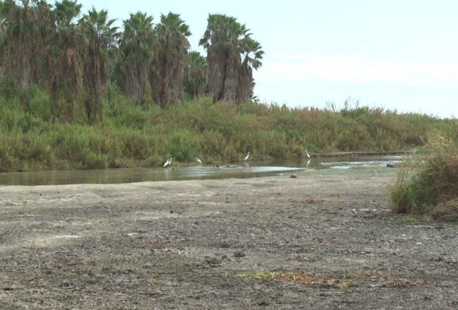 Estero de San José del Cabo