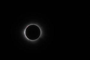 (FOTOS) Así se vio el Eclipse Solar 2024 que oscureció Mazatlán
