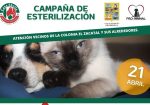 Habrá campaña de esterilización de mascotas en Los Cabos