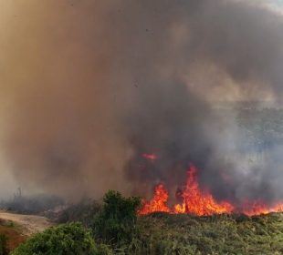 Incendio en Estero de San José del Cabo