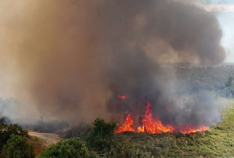 Incendio en Estero de San José del Cabo